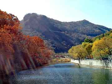 新澳天天开奖资料大全旅游团，讴歌论坛